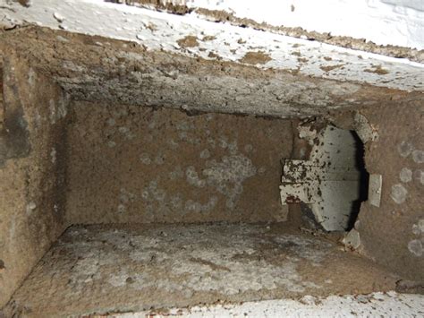 ac distribution box insulation is moldy|mold in ductwork.